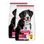 2 x 18 kg (15 + 3 kg gr&aacute;tis!) Hill's Science Plan Large Adult Frango ra&ccedil;&atilde;o para c&atilde;es Pack poupan&ccedil;a!, , large Indicador imagem n&uacute;mero 1