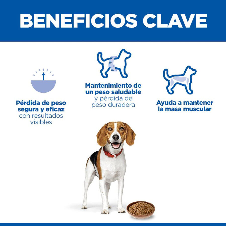 363 g Hill's Adult Perfect Weight Frango e legumes lata para c&atilde;es, , large Imagem n&uacute;mero 5