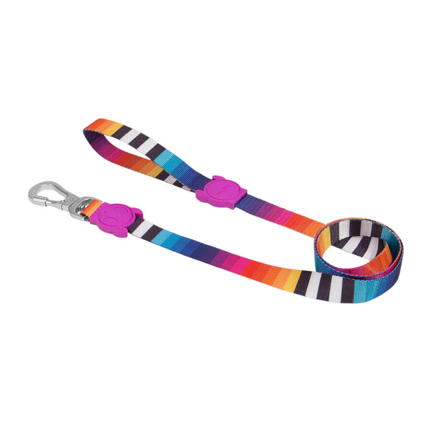 Zee Dog Prisma Correa para perros, , large Imagem n&uacute;mero 1