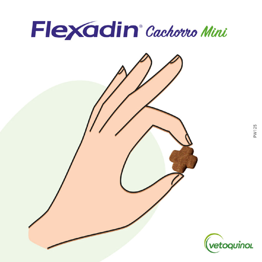 Vetoquinol Flexadin Young Mini Condroprotetor para c&atilde;es, , large Imagem n&uacute;mero 2
