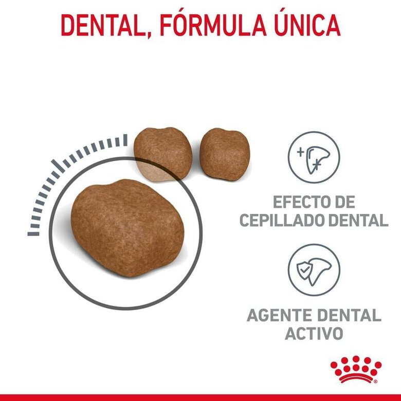 8 kg Royal Canin Adult Oral ração para gatos,  Imagem número 5 8 kg Royal Canin Adult Oral ração para gatos, , large Imagem número 5