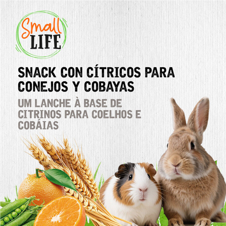 2 barritas Small Life Barritas Snack com Citrinos para coelhos e Porquinhos da &Iacute;ndia, , large Imagem n&uacute;mero 4