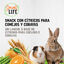 2 barritas Small Life Barritas Snack com Citrinos para coelhos e Porquinhos da &Iacute;ndia, , large Indicador imagem n&uacute;mero 4