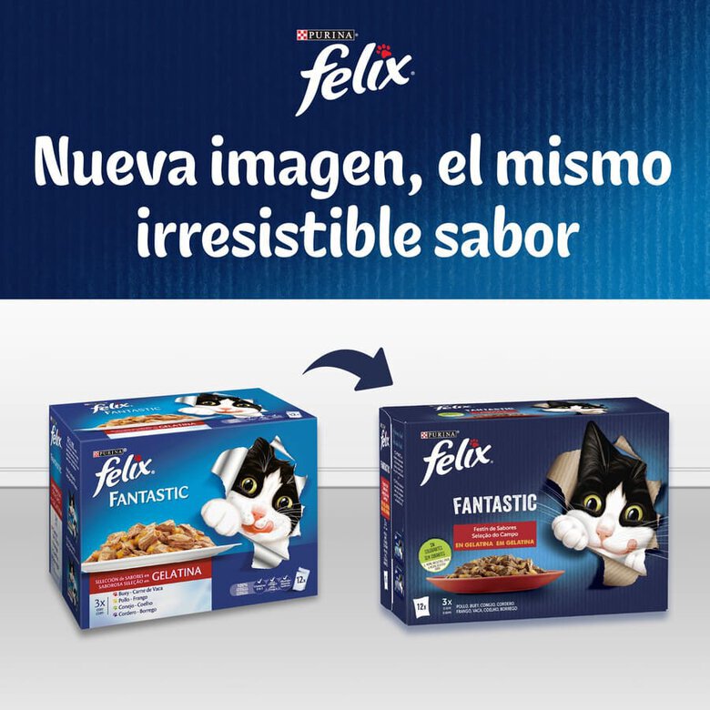 4 saquetas x 85 g Felix Fantastic Duo Delicious Peixe em gelatina para gatos,  Imagem número 7 4 saquetas x 85 g Felix Fantastic Duo Delicious Peixe em gelatina para gatos, , large Imagem número 7