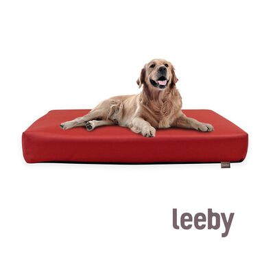 Leeby Almofada impermeável vermelha anti-pelos vermelha para cães