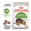 Royal Canin Active Life Outdoor ração para gatos, , large Indicador imagem número 1