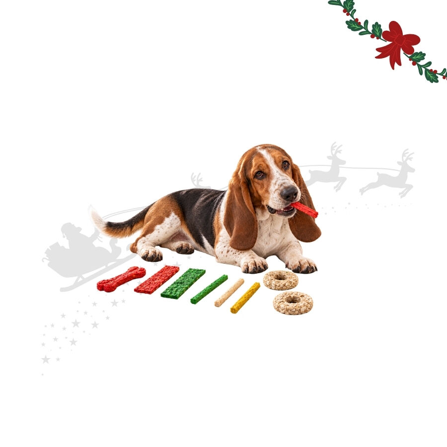 1 pack x 9 uns. Wonder Christmas Saco de Presente com Snacks de Couro Prensado para C&atilde;es, , large Imagem n&uacute;mero 1