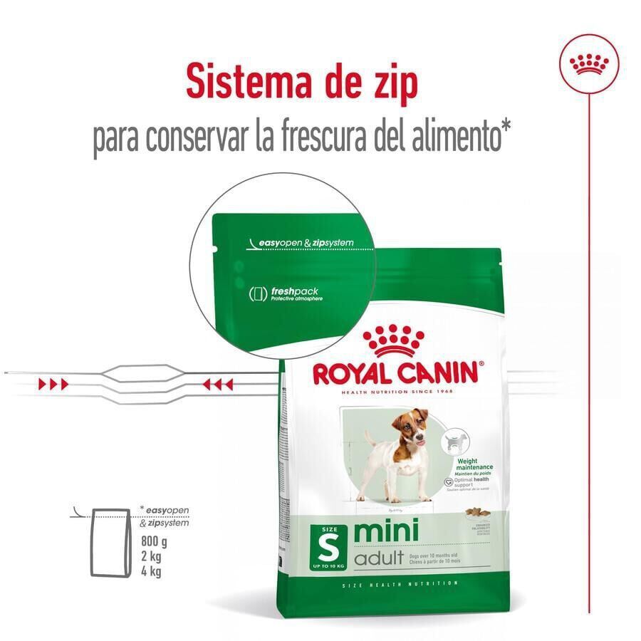 9 kg (8 + 1 kg &iexcl;gratis!) Royal Canin Mini Adult ra&ccedil;&atilde;o para c&atilde;es, , large Imagem n&uacute;mero 4