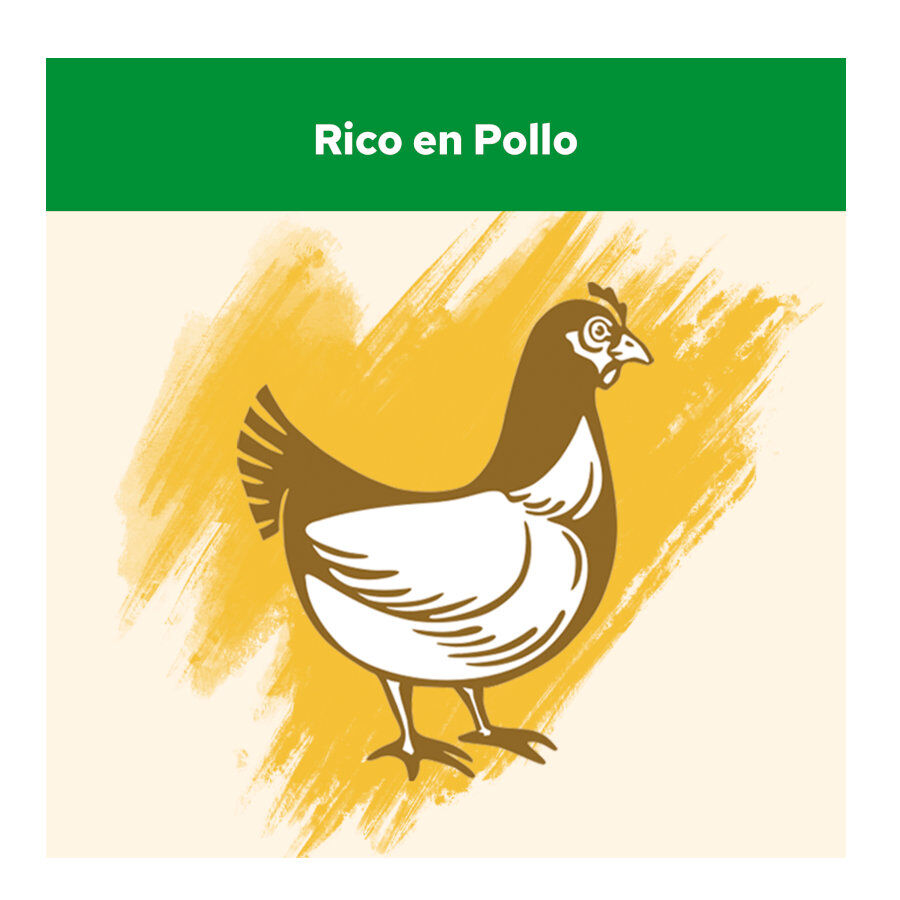 15 kg Cat Chow Sterilized Frango Ra&ccedil;&atilde;o para gatos, , large Imagem n&uacute;mero 4