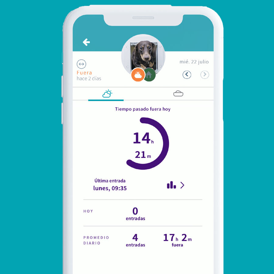 Sure Petcare SureFlap Porta Autom&aacute;tica Branca com Microchip , , large Imagem n&uacute;mero 6