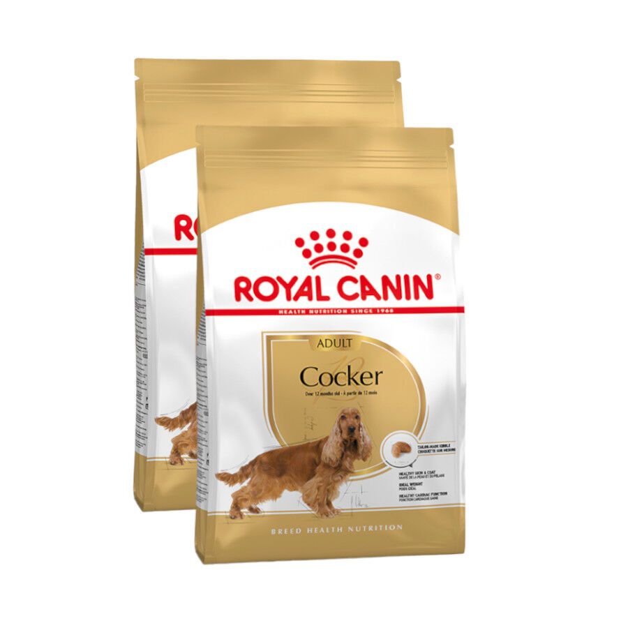 2 x 12 kg Royal Canin Adult Cocker ra&ccedil;&atilde;o para c&atilde;es Pack poupan&ccedil;a!, , large Imagem n&uacute;mero 1