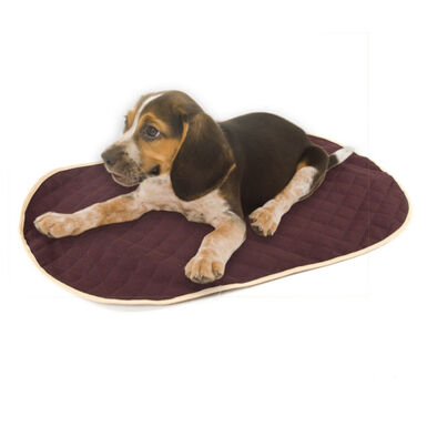 TK-Pet Colcha Castanha para cães