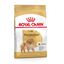 Royal Canin Adult Lulu da Pomerânia ração para cães, , large Indicador imagem número 1