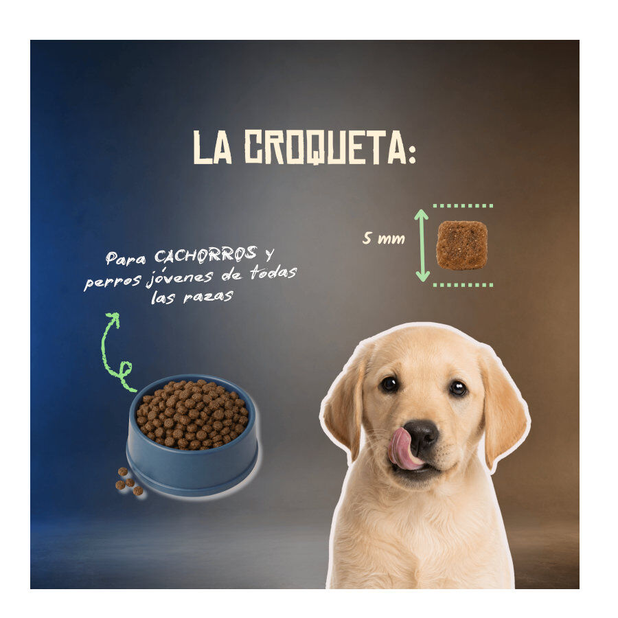 2 Kg Lenda Grain Free Puppy Ra&ccedil;&atilde;o de Coelho para c&atilde;es, , large Imagem n&uacute;mero 7