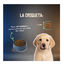 2 Kg Lenda Grain Free Puppy Ra&ccedil;&atilde;o de Coelho para c&atilde;es, , large Indicador imagem n&uacute;mero 7