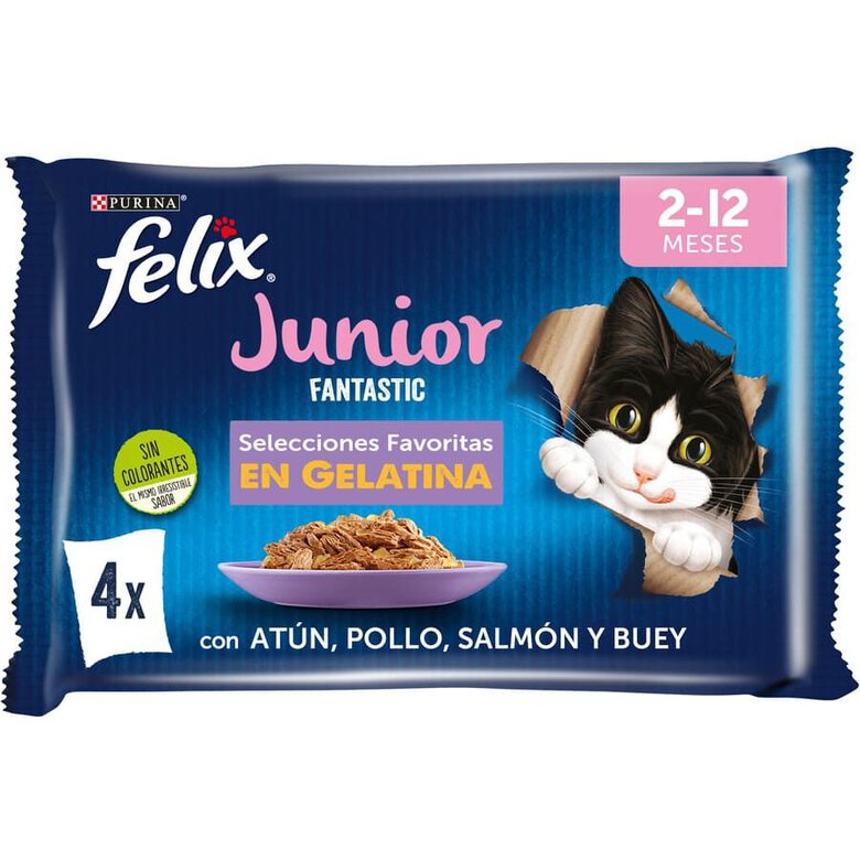 4 saquetas x 85 g Felix Junior Fantastic Carne e Peixe em Geleia saqueta - Multipack,  Imagem número 1 4 saquetas x 85 g Felix Junior Fantastic Carne e Peixe em Geleia saqueta - Multipack, , large Imagem número 1