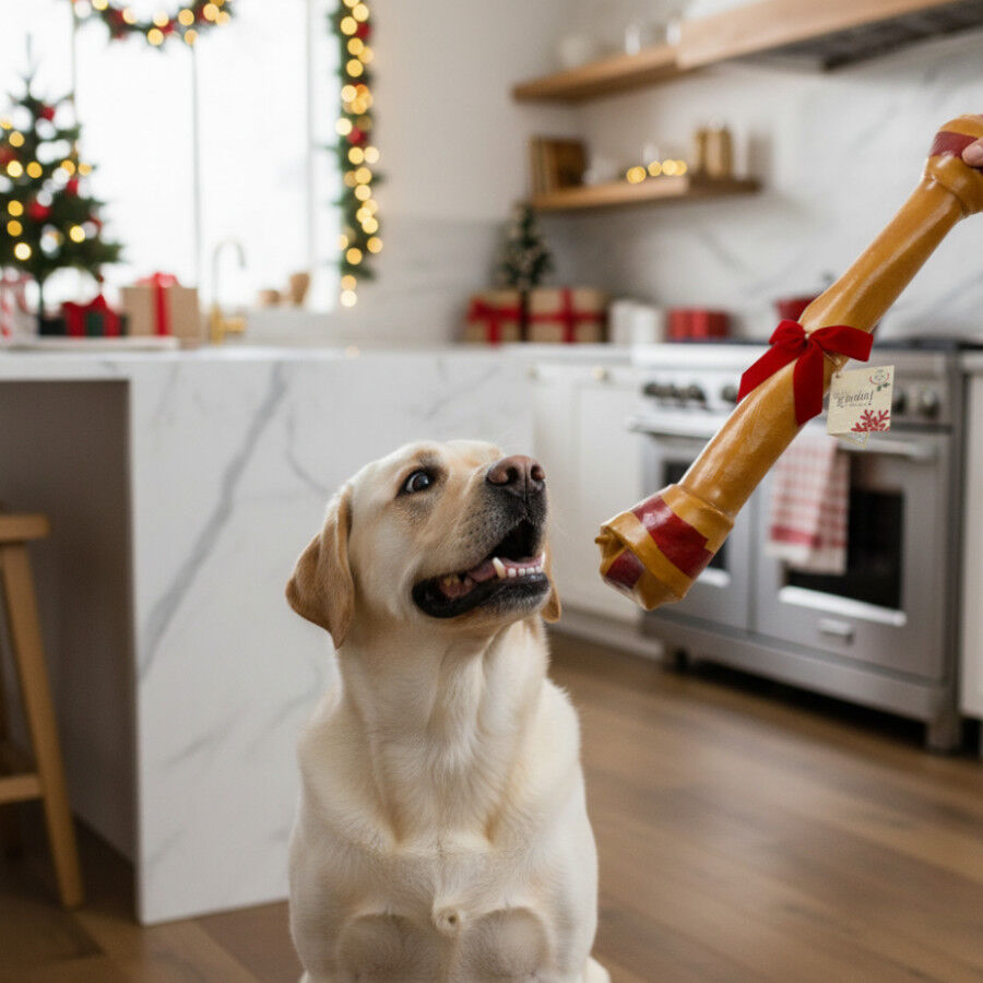 1 Osso Wonder Christmas Osso gigante de Natal para c&atilde;es, , large Imagem n&uacute;mero 2