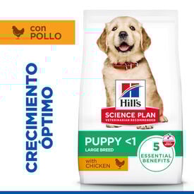 Hill's Science Plan Puppy Large Frango ração para cães
