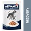 100 g Advance Recovery Saquetas para cães e gatos, , large Indicador imagem número 2