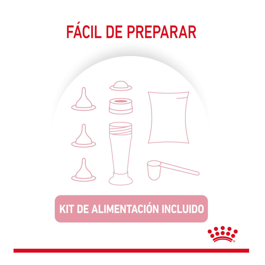 300 g Royal Canin Leite para gatinhos primeiro ano, , large Imagem n&uacute;mero 7