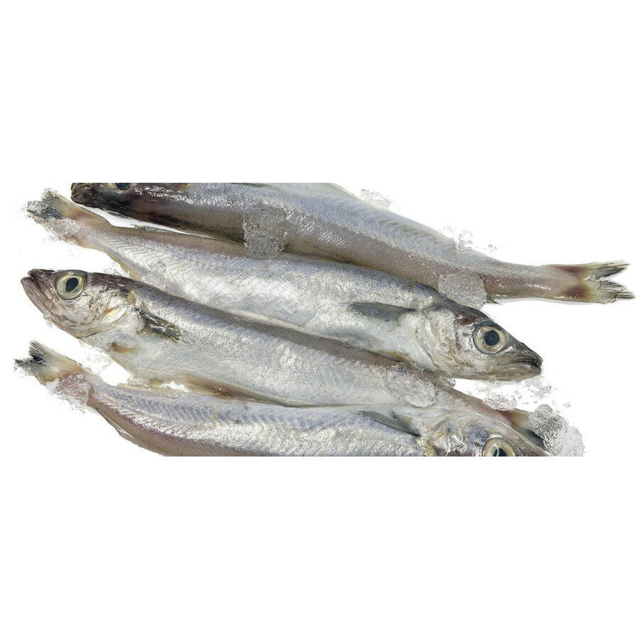 200 g Hobbitalf Peixaria L&iacute;rios para c&atilde;es, , large Imagem n&uacute;mero 2