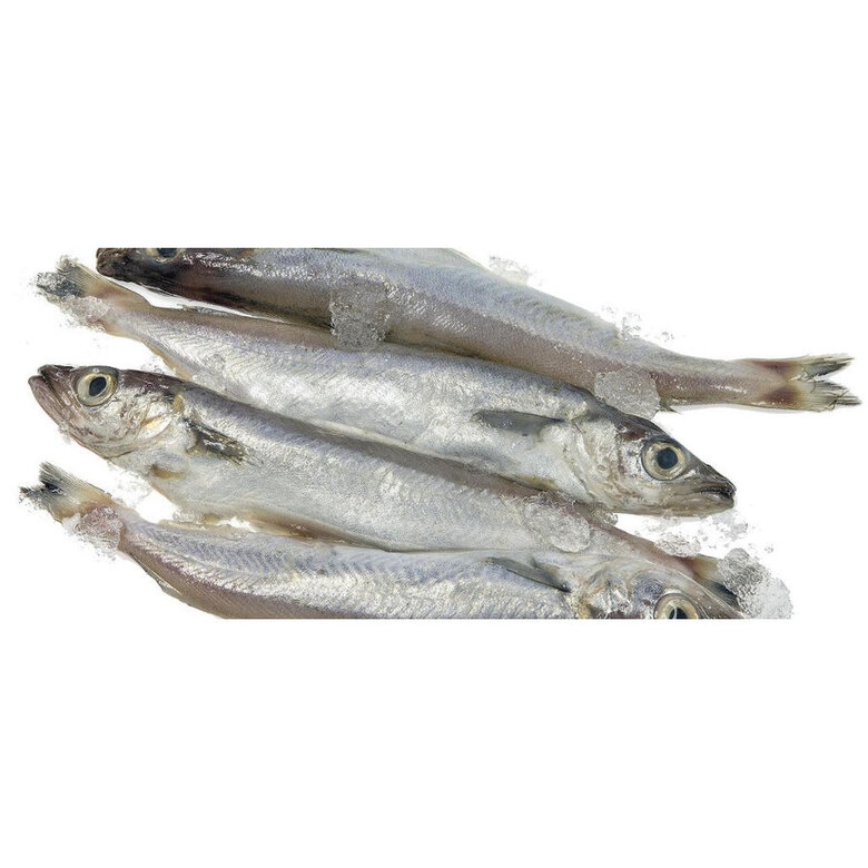 200 g Hobbitalf Peixaria Lírios para cães,  Imagem número 2 200 g Hobbitalf Peixaria Lírios para cães, , large Imagem número 2