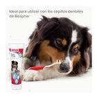 Beaphar Pasta de Dentes para cães e gatos, , large image number null