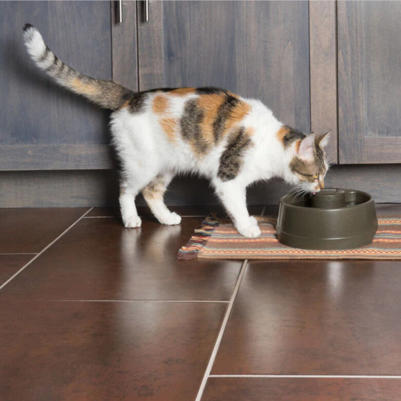 Petsafe Drinkwell® Bebedouro Automático para cães e gatos,  Imagem número 4 Petsafe Drinkwell® Bebedouro Automático para cães e gatos, , large Imagem número 4