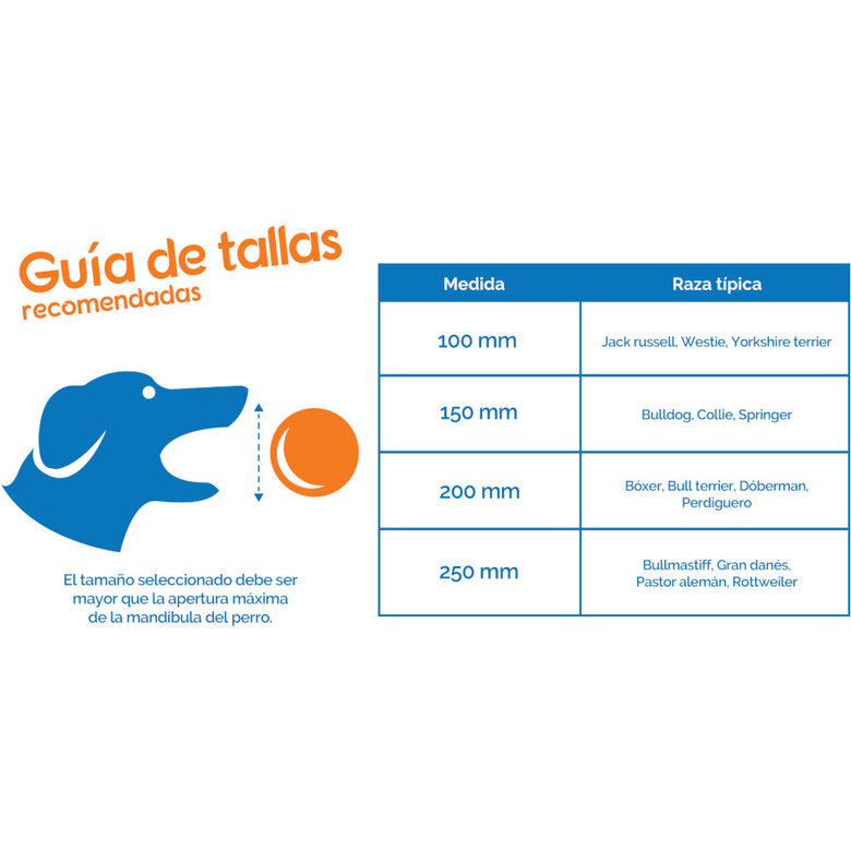 Coachi Boomer Ball bola para cães,  Imagem número 4 Coachi Boomer Ball bola para cães, , large Imagem número 4