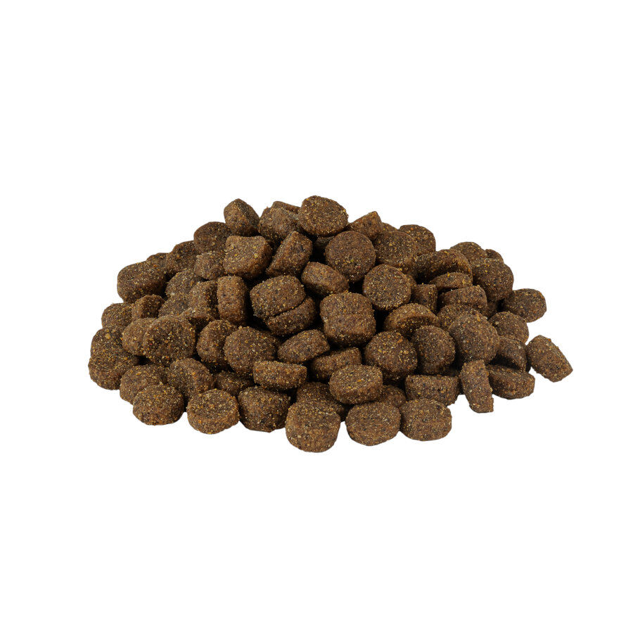 Weego Grain Free Mini Adult Classic Ra&ccedil;&atilde;o de frango para c&atilde;es, , large Imagem n&uacute;mero 2