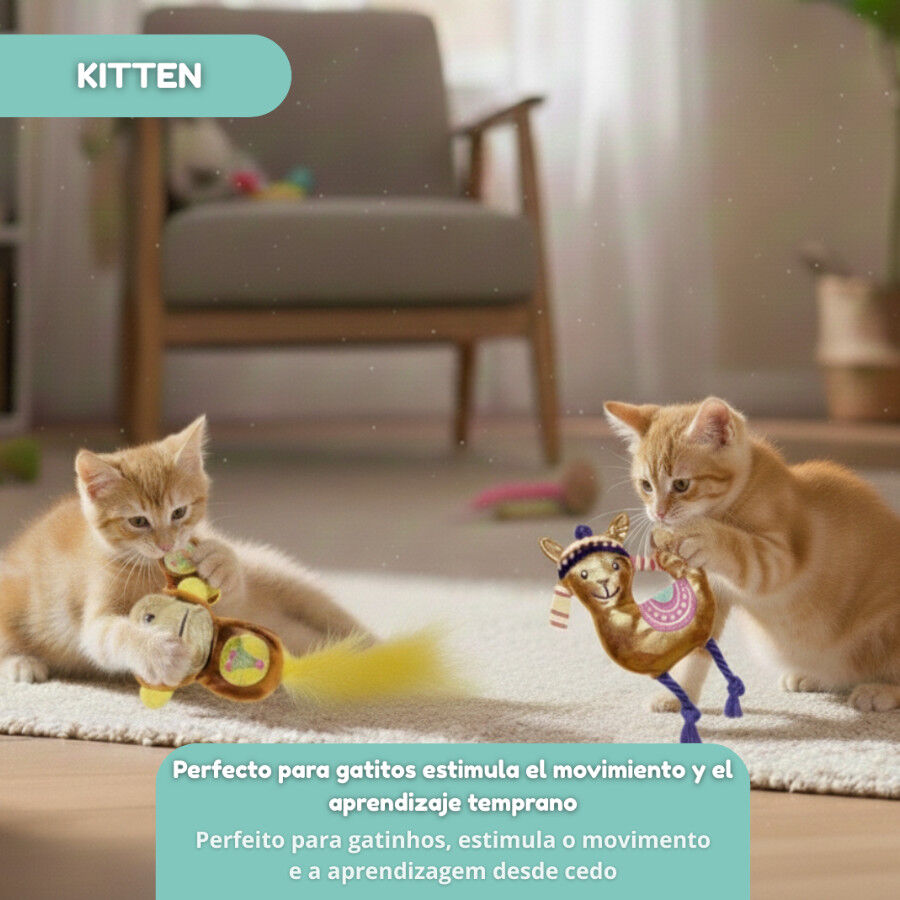 Tootoy! Kitten Peluche de macaco brilhante e lhama para gatos, , large Imagem n&uacute;mero 7