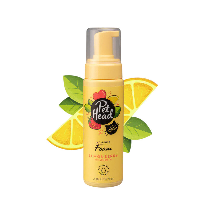 Pet Head Shampoo seco para gato em espuma 300ml, , large Imagem n&uacute;mero 1