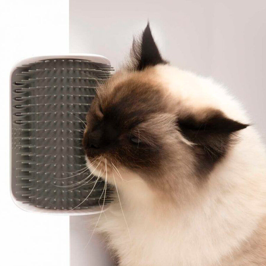Catit Self Groomer Escova de Parede , , large Imagem n&uacute;mero 1