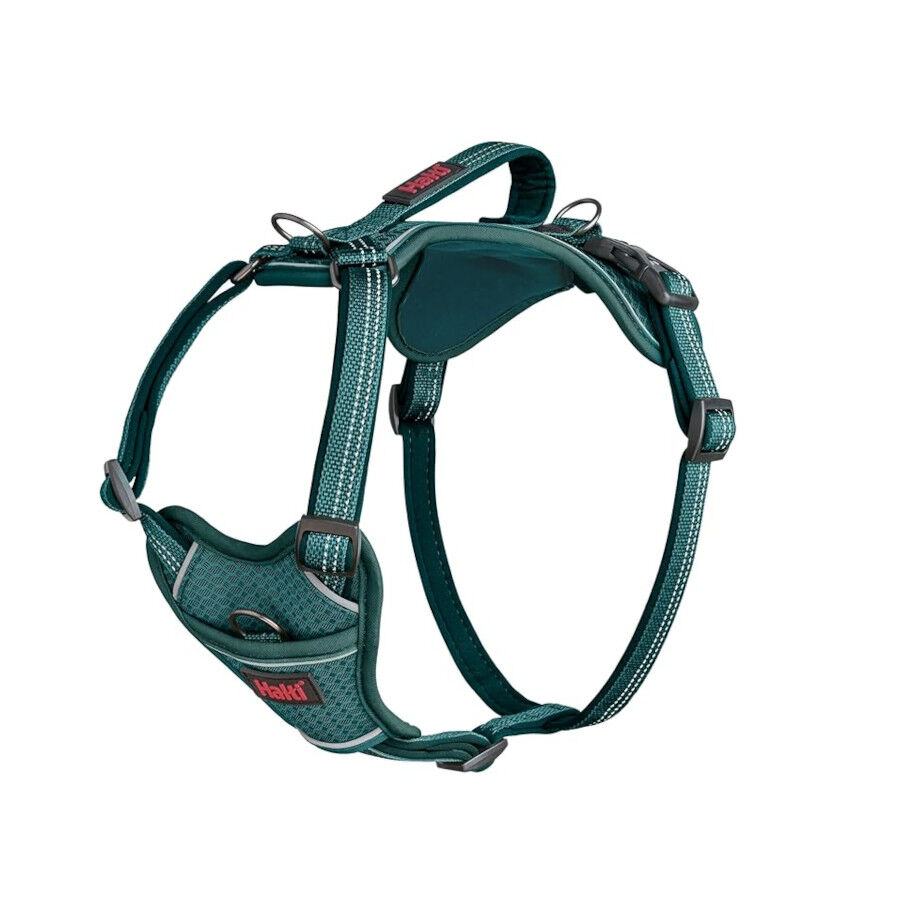 Halti Peitoral Anat&oacute;mico azul-esverdeado para c&atilde;es pequenos, , large Imagem n&uacute;mero 1