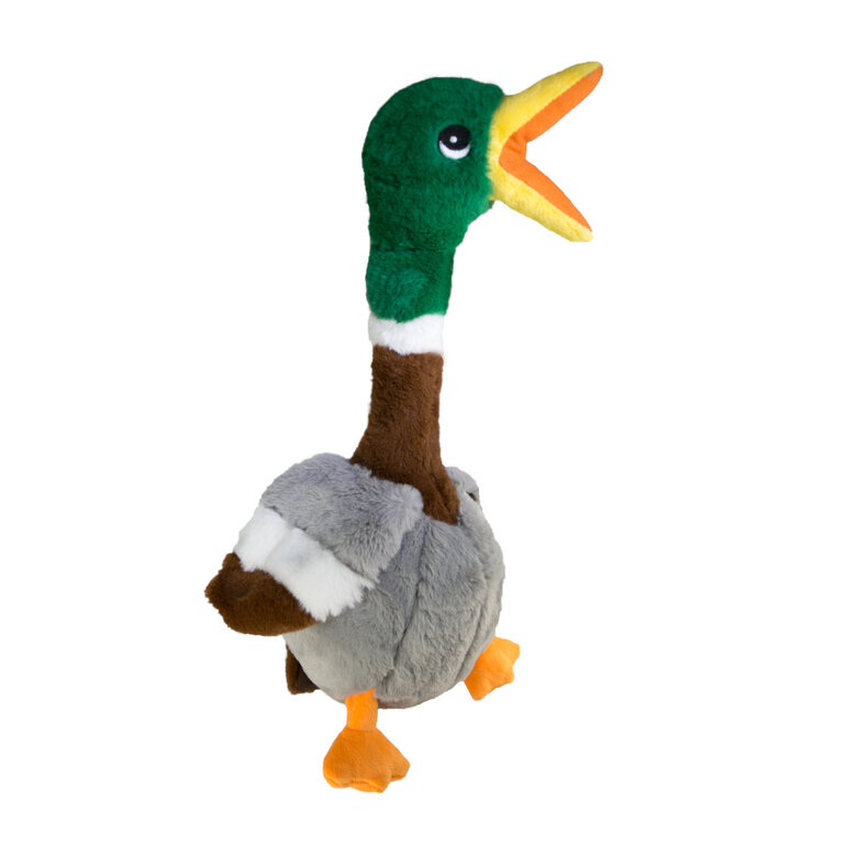 Kong Shakers Honkers Pato de peluche para cães,  Imagem número 1 Kong Shakers Honkers Pato de peluche para cães, , large Imagem número 1