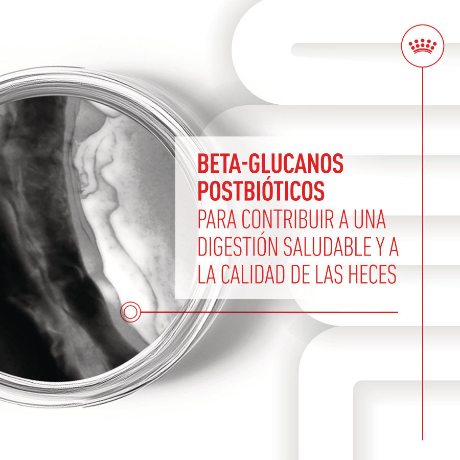 100 g Royal Canin Immunity & Digestion Chews Puppy Suplemento Nutricional para C&atilde;es, , large Imagem n&uacute;mero 5