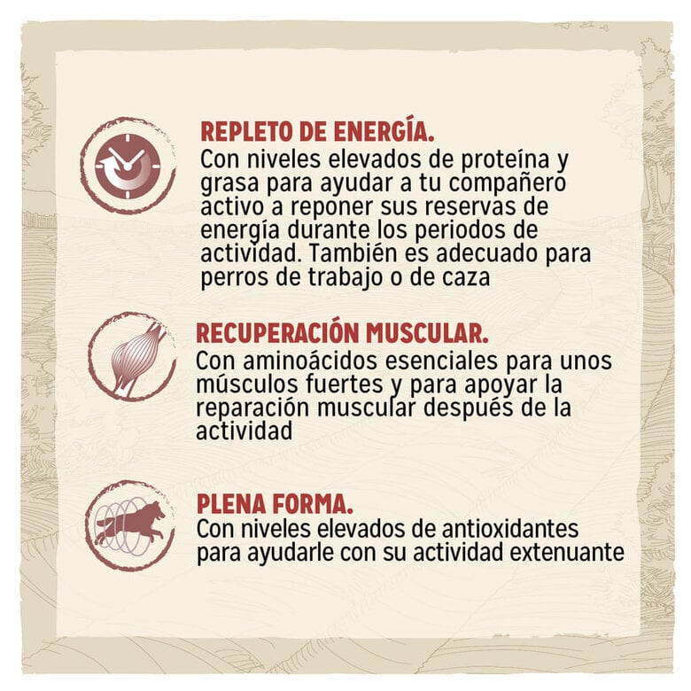 14 kg Dog Chow Active Frango ração para cães,  Imagem número 2 14 kg Dog Chow Active Frango ração para cães, , large Imagem número 2