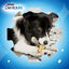 54 sticks Purina Dentalife raça pequena multipack, , large Indicador imagem número 7