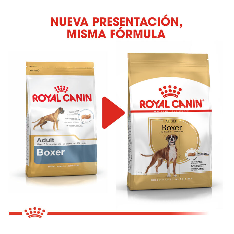 12 kg Royal Canin Adult Boxer ra&ccedil;&atilde;o para c&atilde;es, , large Imagem n&uacute;mero 3