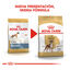 12 kg Royal Canin Adult Boxer ração para cães, , large Indicador imagem número 3