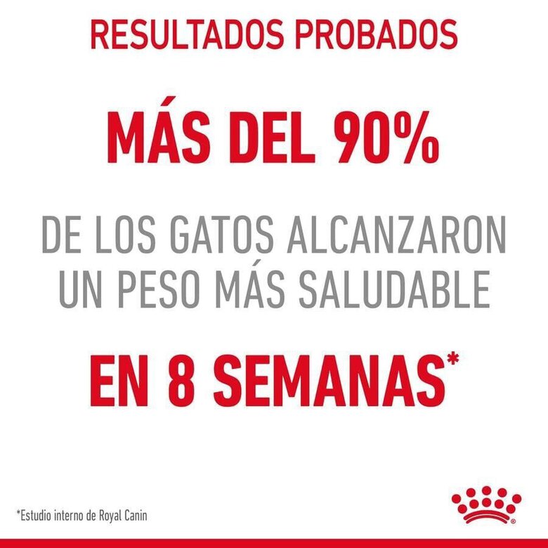 8 kg Royal Canin Adult Light Weight Care ração para gatos,  Imagem número 5 8 kg Royal Canin Adult Light Weight Care ração para gatos, , large Imagem número 5