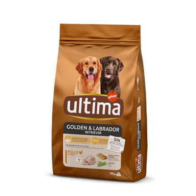 Affinity Ultima Medium / Maxi Golden & Labrador com Frango ração para cães