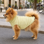 Gotoo Camisola Polar Amarela para c&atilde;es, , large Indicador imagem n&uacute;mero 1