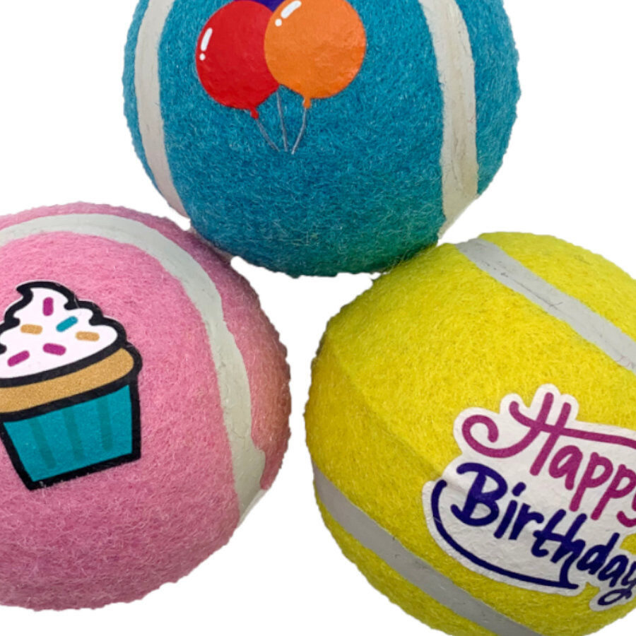 Tootoy! Comfort Happy Birthday Pack de bolas para c&atilde;es, , large Imagem n&uacute;mero 3