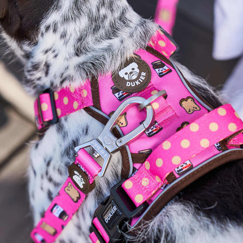 Dukier Dogtella Peitoral trail para cães,  Imagem número 3 Dukier Dogtella Peitoral trail para cães, , large Imagem número 3