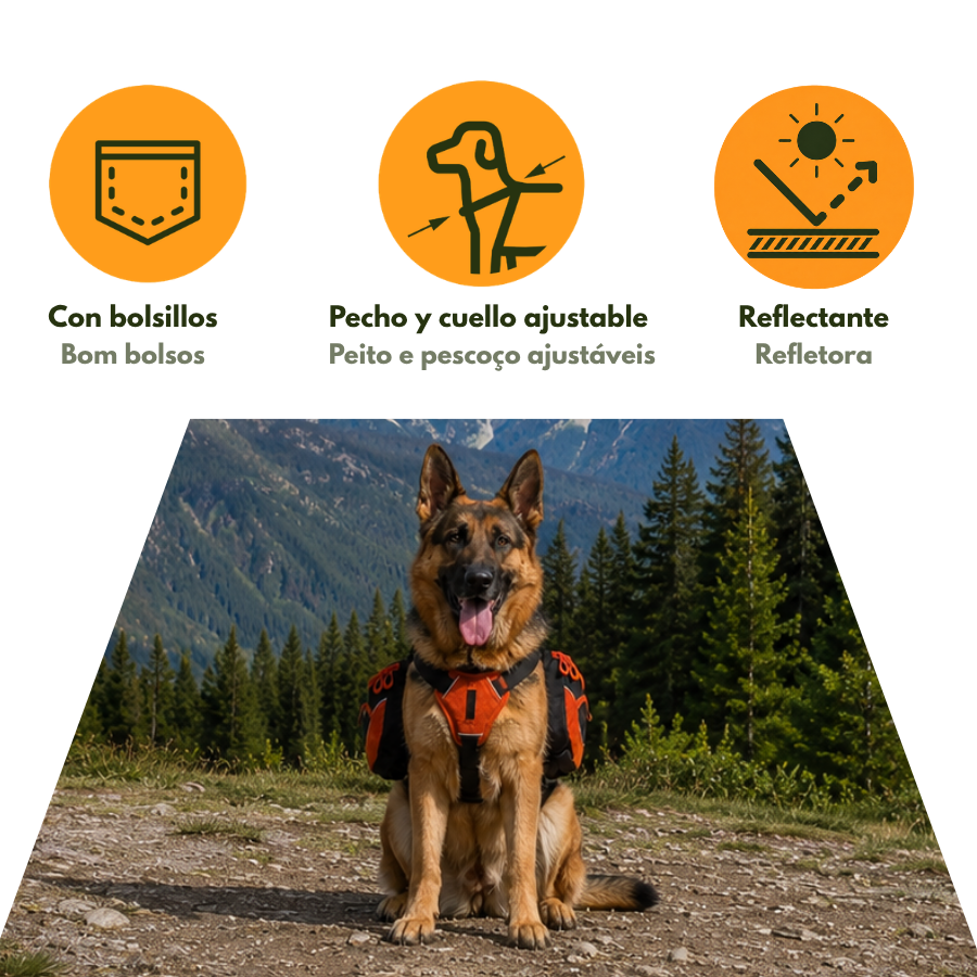 Outech X-perience Peitoral Multiusos para c&atilde;es, , large Imagem n&uacute;mero 4