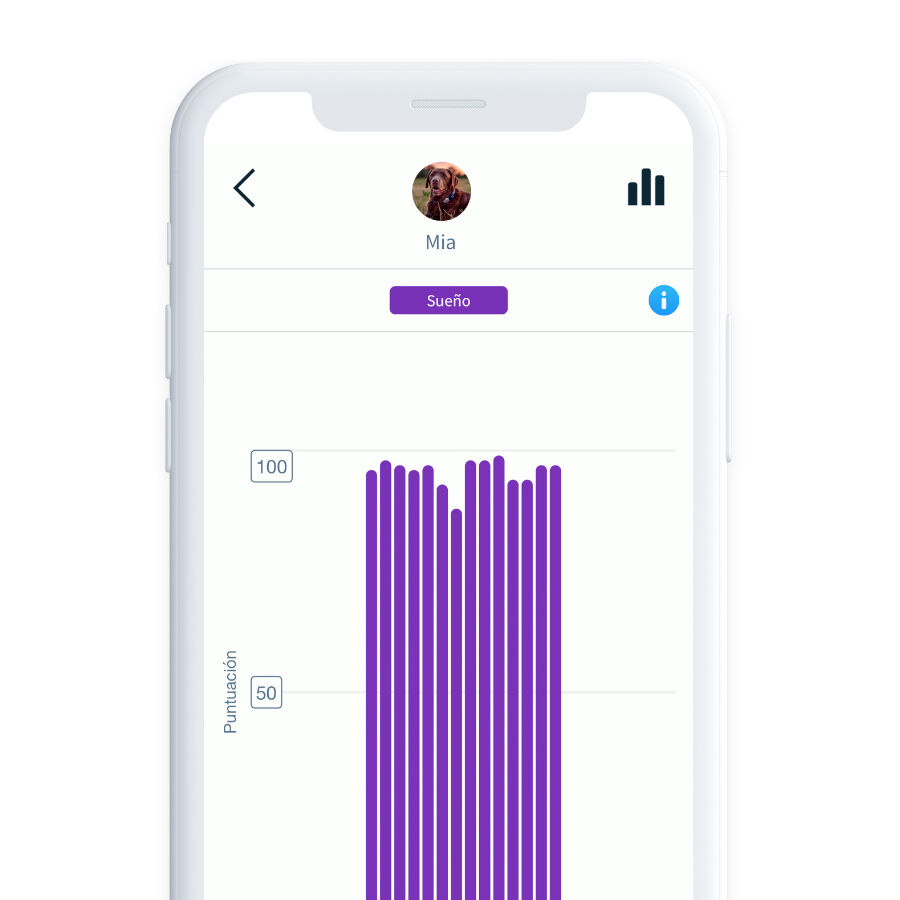 Sure Petcare Animo Monitor comportamental para c&atilde;es, , large Imagem n&uacute;mero 10