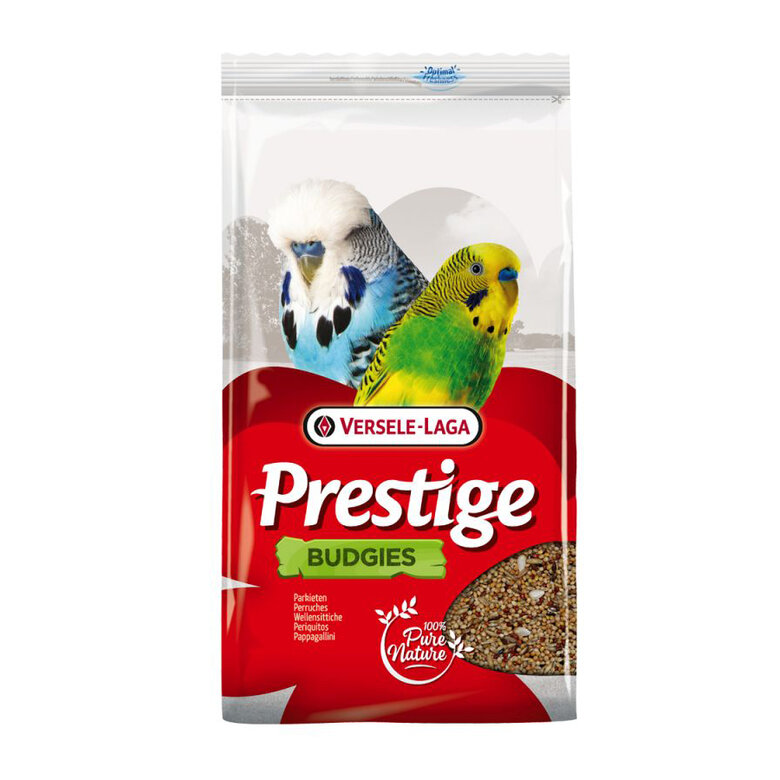 Versele Laga Budgies Prestige Imagem número 1 alimento_pajaro_versele_laga_VER421620.jpg Imagem número 1