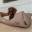 Hunter Boston Cozy Sofá Castanho para cães, , large Indicador imagem número 4