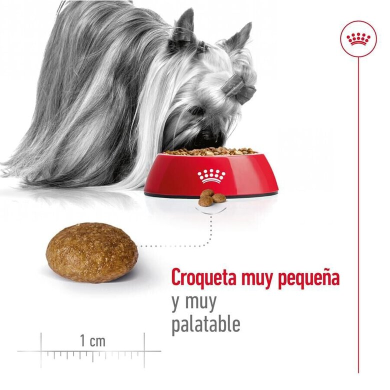 Royal Canin X-Small 8+ Mature ração para cães,  Imagem número 6 Royal Canin X-Small 8+ Mature ração para cães, , large Imagem número 6